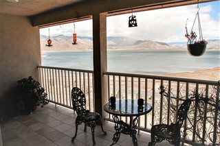 View from sunroom